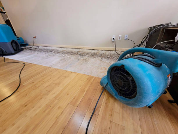 Professional Structural Drying technician working in Cosmos, MN